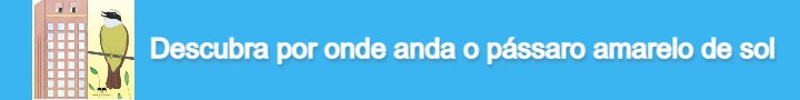 Clique aqui  e descubra por onde anda  o pássaro amarelo de sol