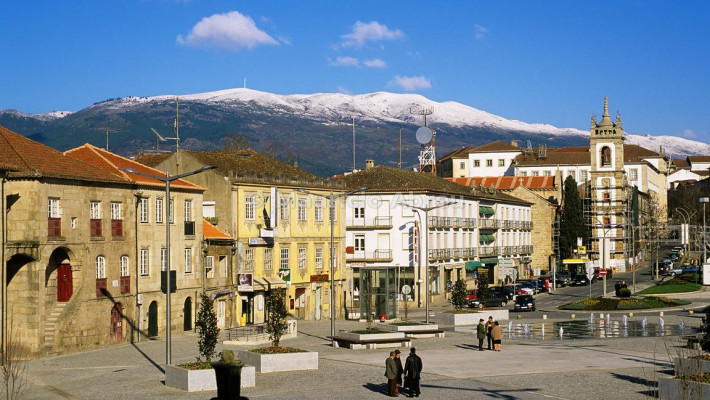 De Vila Real, em Trás-os-Montes e Alto Douro para o vale do rio Piauí: gênese da família Miranda