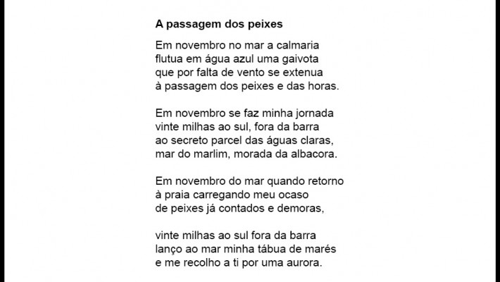 A passagem dos peixes