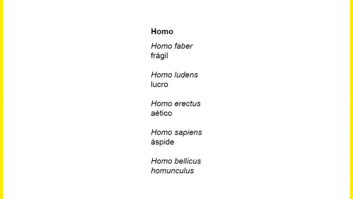 Homo