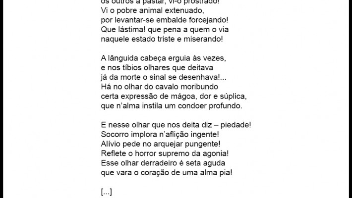 Cavalo moribundo