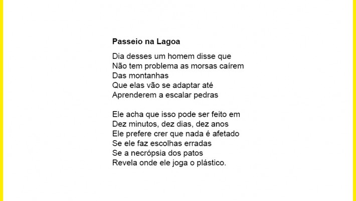 Passeio na Lagoa