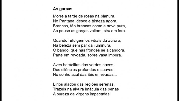 As garças