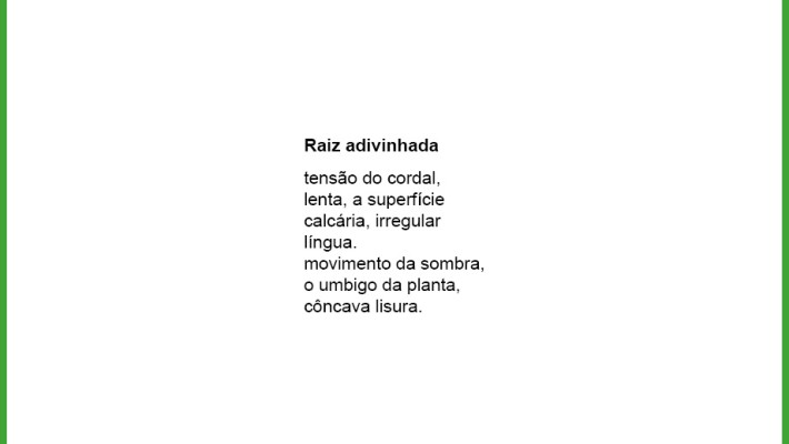 Raiz adivinhada