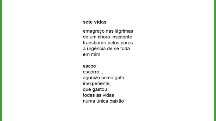 sete vidas