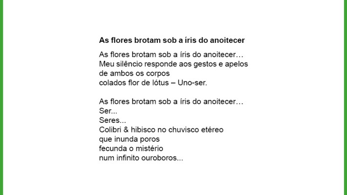 As flores brotam sob a íris do anoitecer