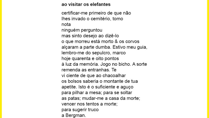 ao visitar elefantes