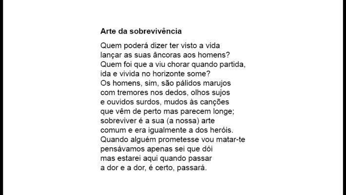 Arte da sobrevivência