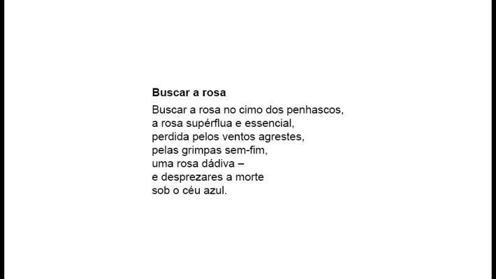 Buscar a rosa