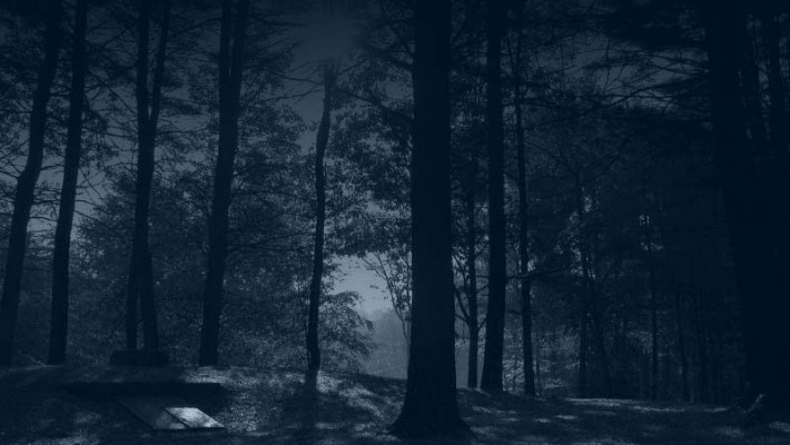 A Noite Escura dos Fracos