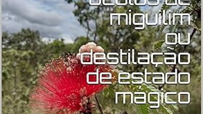 poemas do livro "óculos de miguilim ou destilação de estado mágico"