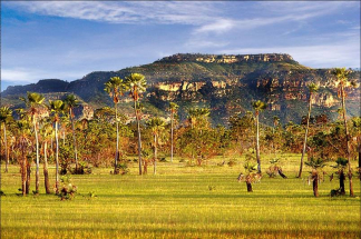 Mestre-de-Campo Bernardo de Carvalho e Aguiar