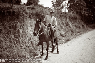 Fernando Campanella