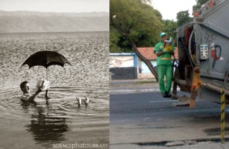 Leituras radicais