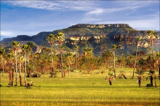 A fase aurífera de Campo Maior-PI