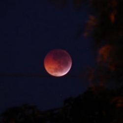 Eclipse lunar na nossa vida