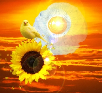 Os reinos do amarelo