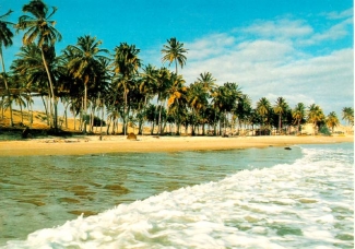 Dizer o que de ti, Fortaleza?