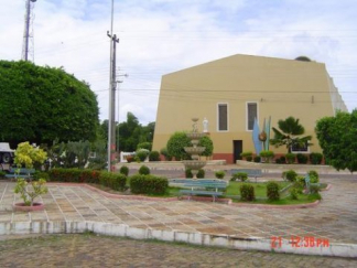 Réquiem à memória da figueira que tombou