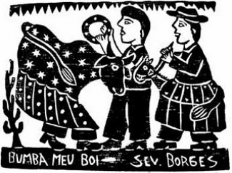 Notas dum piaga de cá do Piauí