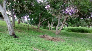 Dílson Lages: Estação das águas