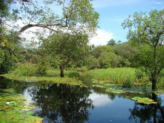 O MAPUÁ